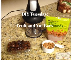 MAMC DIY Tuesday- Homemade Larabars