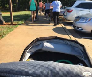 Stroller Journey