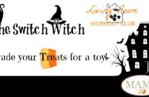 The Switch Witch: A Health Conscious Halloween Tradition