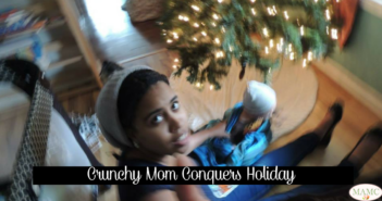 Crunchy Mom Conquers Holiday